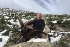 gredos-ibex1