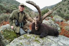 gredos-ibex3