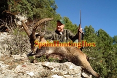 spain hunting ibex