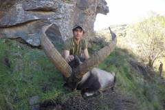 southeastern ibex