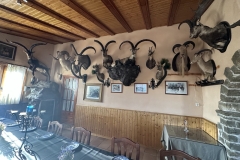FOTO-7