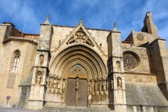 morella-2