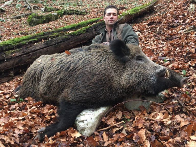 WILD BOAR SMC SPAIN HUNTING IBEX